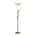 Abajur de rezervă din sticlă pentru lampadar Rabalux 4078 GAMMA R7s mare