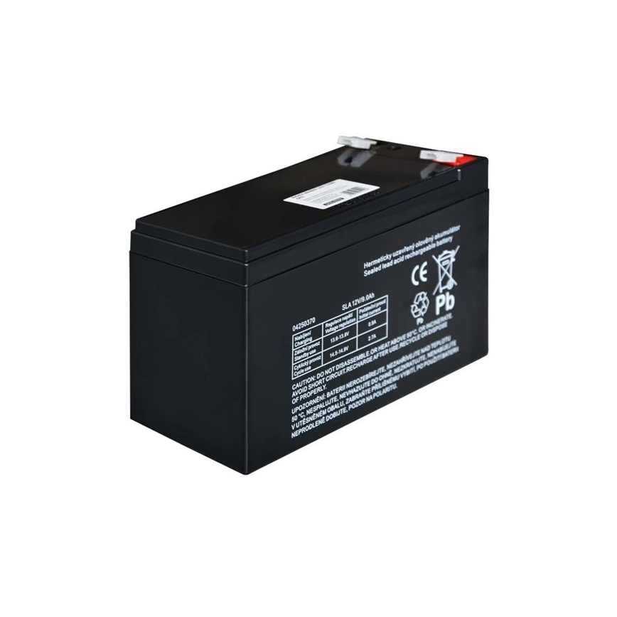 Acumulator plumb-acid VRLA AGM 12V/9Ah