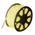 Aigostar - Bandă LED pentru exterior 50m LED/350W/230V 3000K IP65