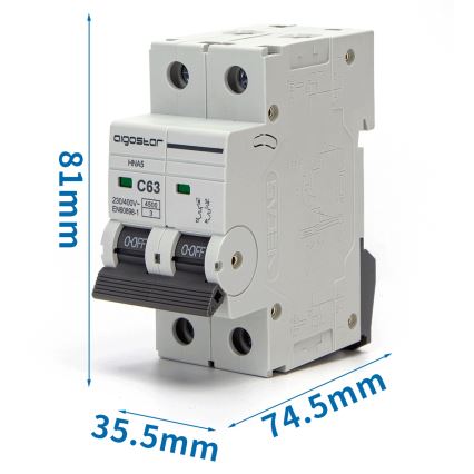 Aigostar - Disjunctor bipolar (2P), 63 A, caracteristică C, 230-400 V