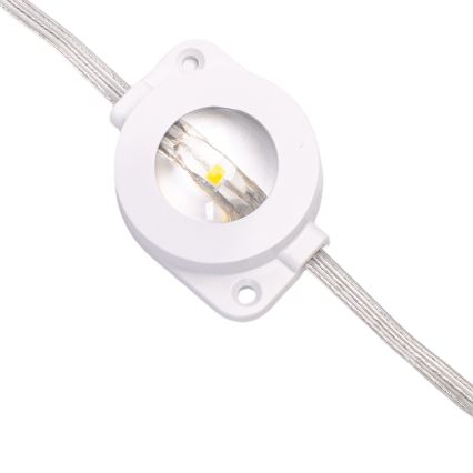 Aigostar - Instalație luminoasă LED dimmabilă de exterior pentru Crăciun 50xLED/8 funcții 20m IP44 multicolor + telecomandă