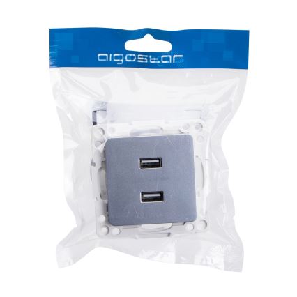 Aigostar - priză de alimentare USB fără ramă, 2 porturi USB-A, argintie