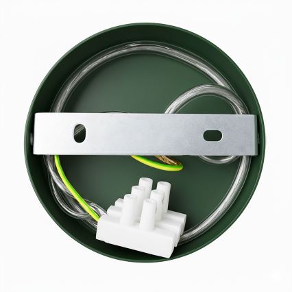 Aplică Brilagi FLAMENGO 1xE27/60W/230V verde