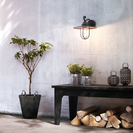 Aplică de exterior 1xE27/60W/230V IP44 Philips Massive