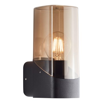 Aplică de exterior Brilliant MINOU 1xE27/10W/230V IP44 negru/fumuriu