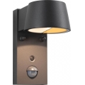 Aplică de exterior cu senzor Paulmann 94714 LED/6W IP44 CAPERA 230V