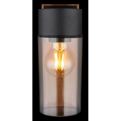 Aplică de exterior 1xE27/40W/230V IP44 Globo