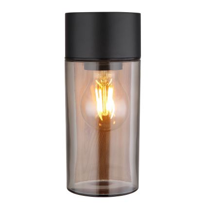 Aplică de exterior 1xE27/40W/230V IP44 Globo