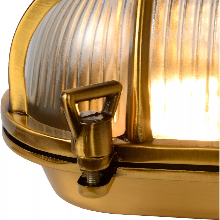 Aplică de exterior Lucide 11891/20/02 DUDLEY 1xE27/40W/230V IP65 auriu