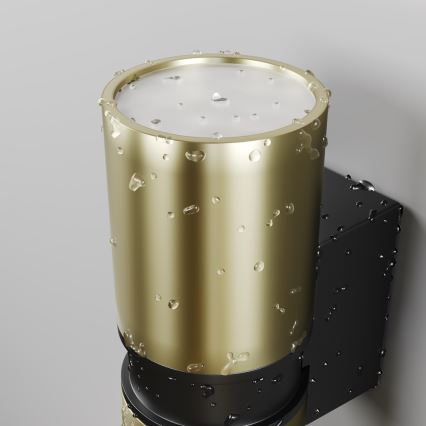 Aplică de exterior Maytoni O582WL-02BS BOWERY 2xGU10/50W/230V IP54 alamă