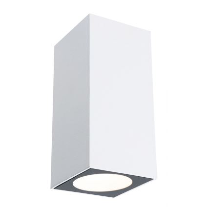 Aplică de exterior Paulmann 94330 2xLED/2,8W IP44 FLAME 230V albă