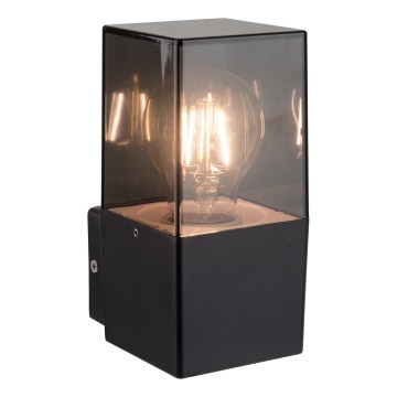 Aplică de exterior pentru perete 1xE27/40W/230V IP44 negru/fumuriu