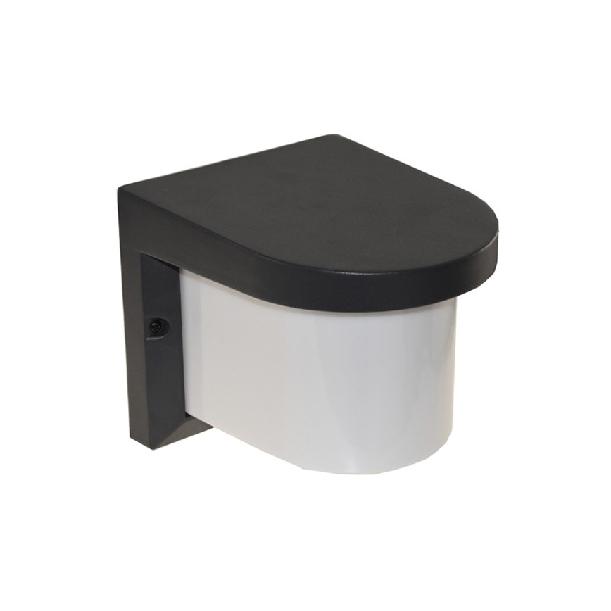 Aplică de exterior PETUNIA 1xE27/60W/230V IP44 antracit