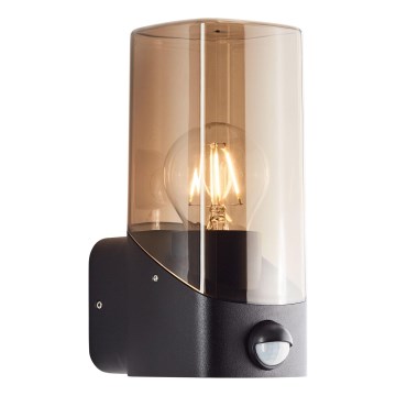 Aplică de exterior with a sensor Brilliant MINOU 1xE27/10W/230V IP44 negru/fumuriu