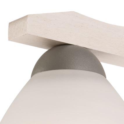 Aplica de perete ADRIANO 1xE27/60W/230V fag