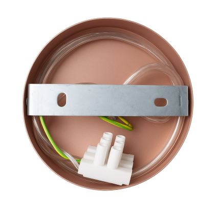 Aplica de perete CAPITAL 1xGX53/15W/230V aur roz