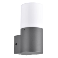 Aplica de perete exterior DALLAS 1xE27/12W/230V IP44 antracit
