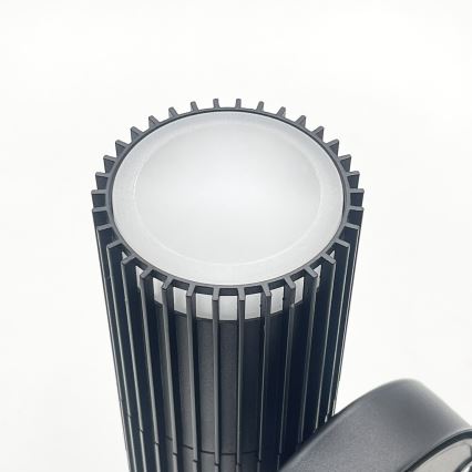 Aplică de perete pentru exterior LANTHEA, spot 2x GU10, 11W, 230V, IP44, negru