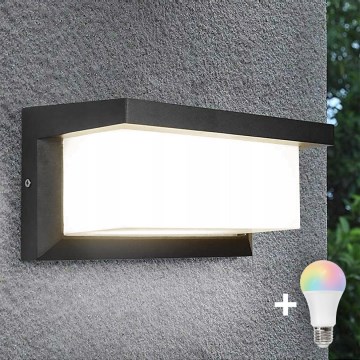 Aplica de perete pentru exterior LED RGBW NEELY reglabilă 1xE27/12W/230V 2700-6500K IP54 antracit