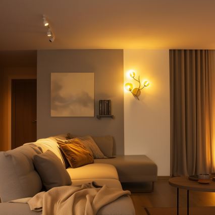 Aplică LED Brilagi MISTEL 3xG9/3W/230V auriu