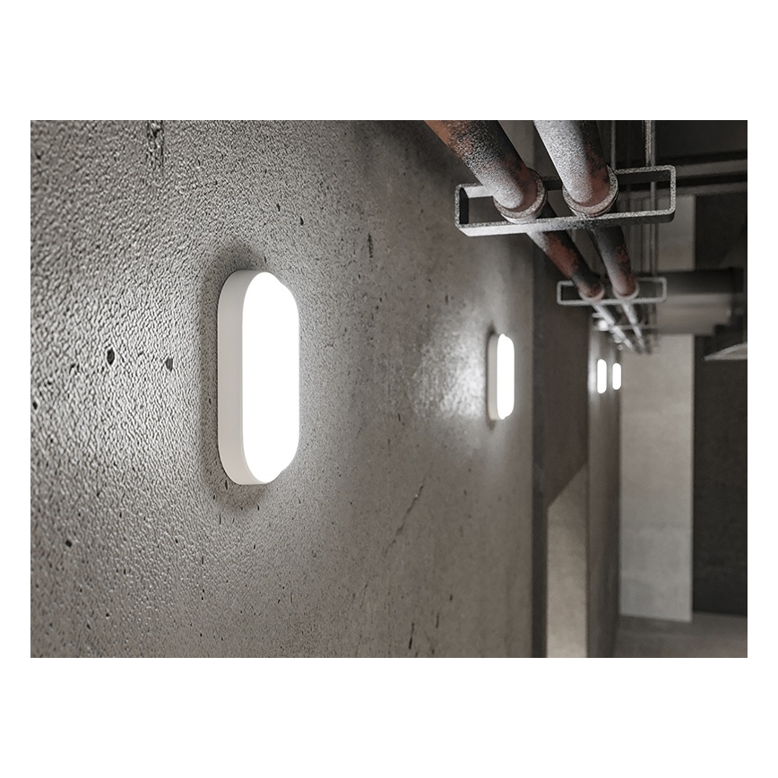 Aplica LED de exterior, 6 W, 230 V, IP54, albă