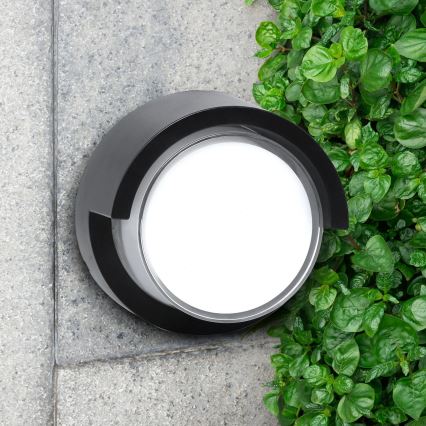 Aplică LED de exterior ESSEN LED/10W/230V IP44 negru