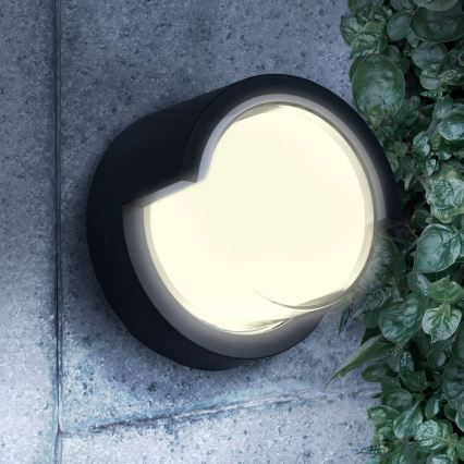 Aplică LED de exterior ESSEN LED/10W/230V IP44 negru