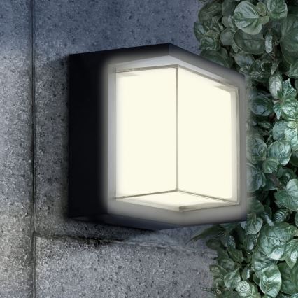 Aplică LED de exterior ESSEN LED/12W/230V IP44 negru