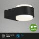 Aplică LED de exterior HANAU LED/6,5W/230V IP44 negru Briloner 3035-015
