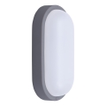 Aplică LED de exterior LED/13W/230V 4000K IP54 gri oval