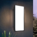 Aplică LED de exterior LED/18,5W/230V IP44 Eglo