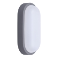 Aplică LED de exterior LED/20W/230V 4000K IP54 gri oval