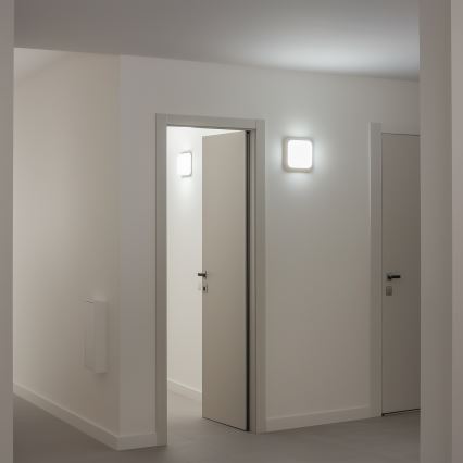 Aplică LED de exterior LED/20W/230V IP54 Brilagi