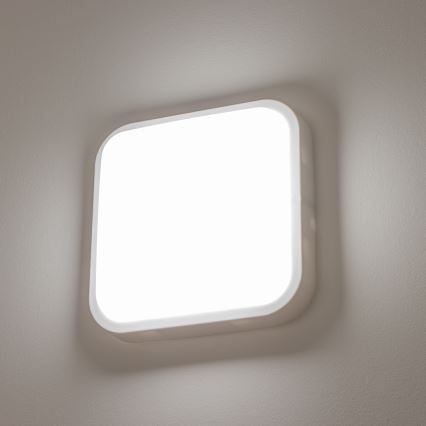 Aplică LED de exterior LED/20W/230V IP54 Brilagi