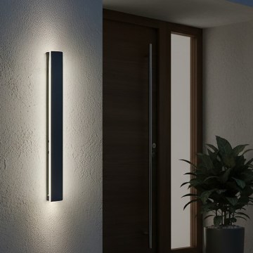 Aplica LED de exterior MIRANA LED/12W/230V 4000K IP44 60 cm neagră