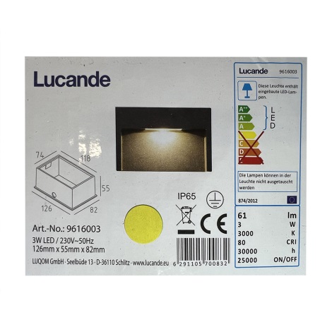 Aplică LED de exterior MITJA LED/3W/230V IP65 Lucande