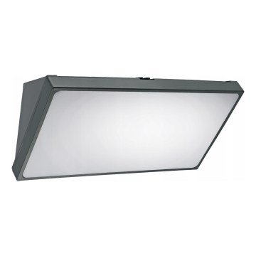 Aplică LED de exterior pentru perete cu senzor de mișcare, 20W/230V, IP65, gri
