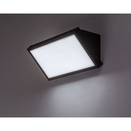 Aplică LED de exterior Rabalux LED/18W/230V 2700/4000/6500K IP65