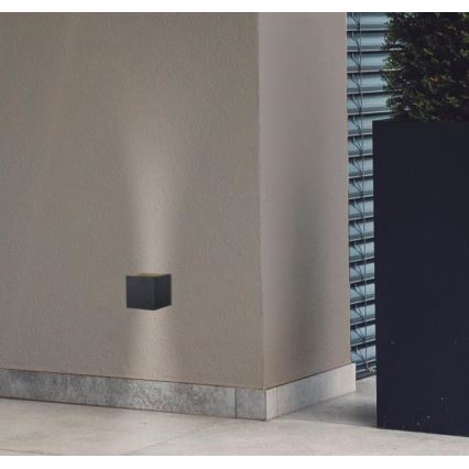 Aplică LED de exterior Westinghouse 61149 FREYA 2xLED/4,5W/230V IP44 negru