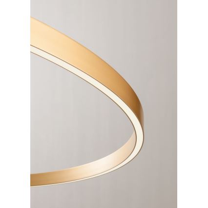 Aplică LED dimabilă Redo 01-2835 FEBE LED/24W/230V auriu