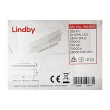 Aplică LED IGNAZIA 2xLED/5,5W/230V Lindby