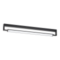 Aplică LED pentru baie DEKSTER LED/36W/230V IP44 neagră