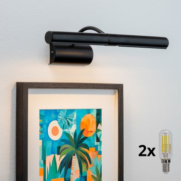 Aplică LED pentru tablouri Brilagi DANAE 2xE14/4W/230V 3000K negru