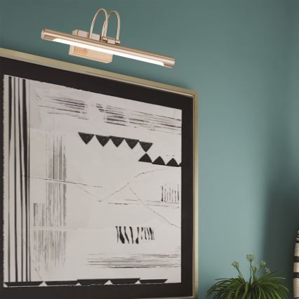 Aplică LED pentru tablouri LED/9W/230V 3000Κ 42 cm crom