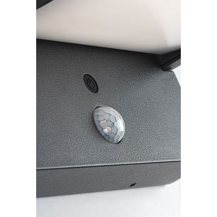 Aplică LED solară cu senzor de mișcare și crepuscular Brilagi ANKLE LED/10W/3,7V 3000 mAh 4000K IP65 antracit