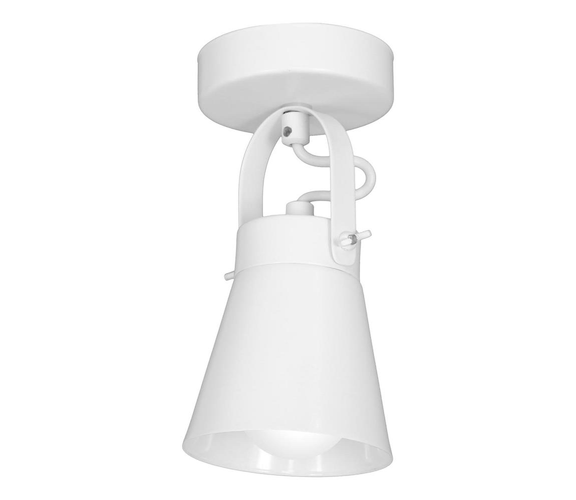 Aplică perete spot AMOS 1xE27/60W/230V