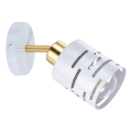 Aplica spot de perete ELEN 1xE27/35W/230V alb/auriu