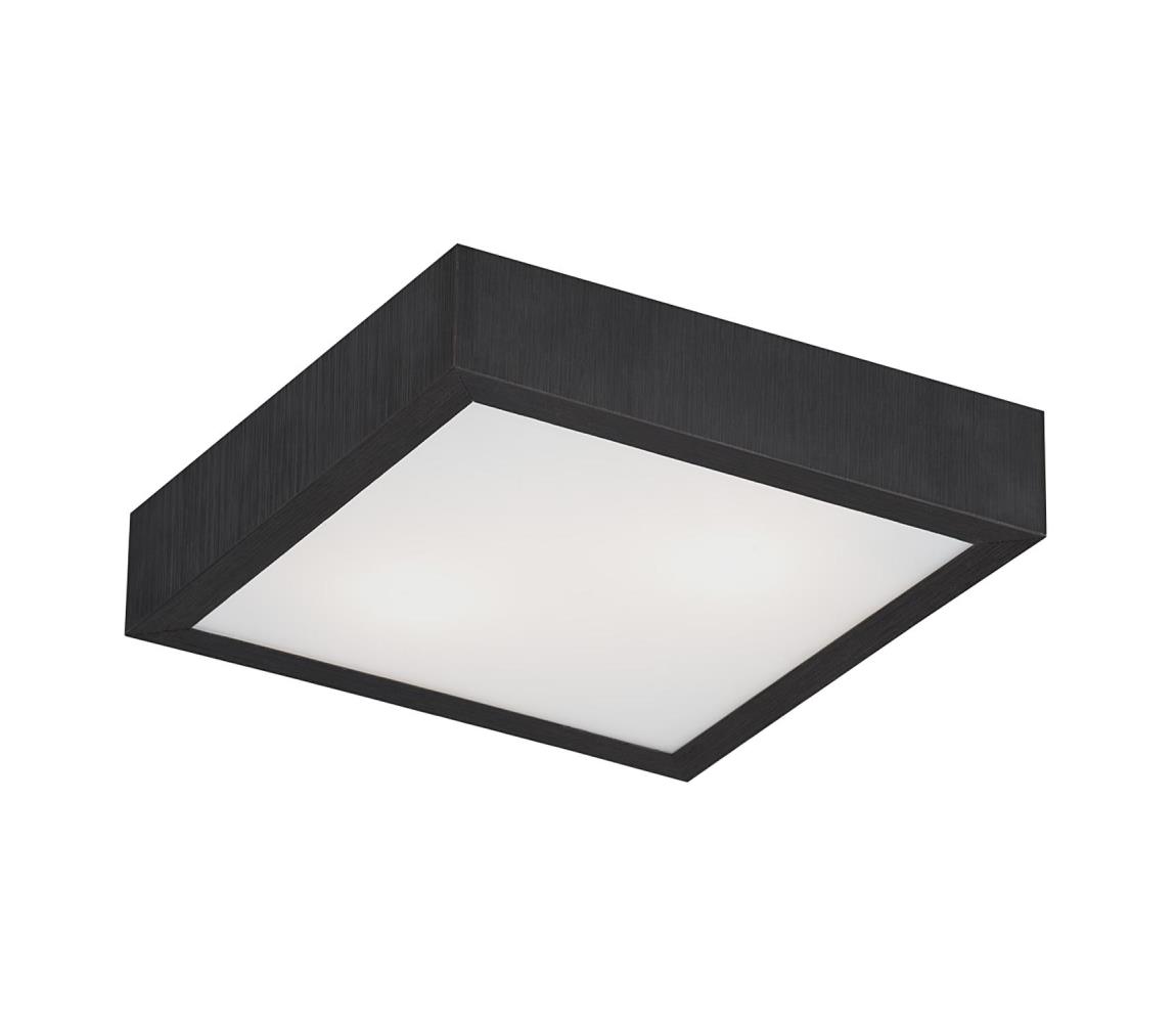 Argon 0723 - Plafoniera TEQUILA BIS 2xE27/60W/230V