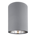 Argon 3108 - Lampa spot TYBER 1xE27/60W/230V