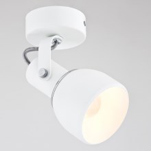 Argon 3587 - Lampa spot FOGO 1xE27/60W/230V